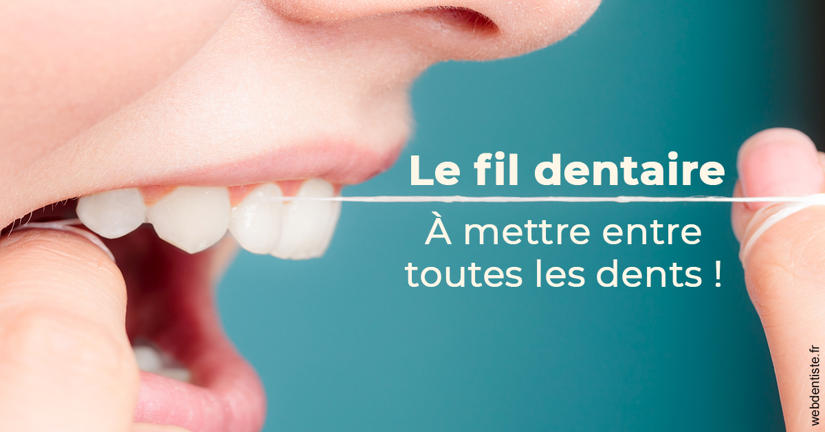 https://dr-corinne-schneider-pigeroulet.chirurgiens-dentistes.fr/Le fil dentaire 2