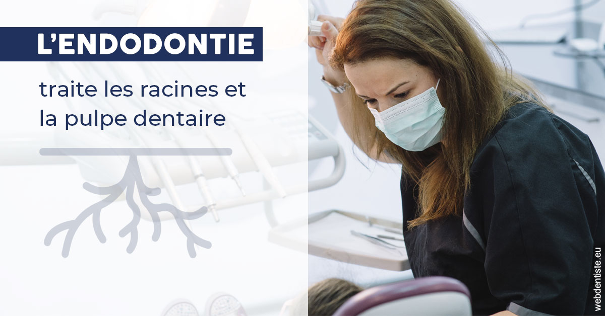 https://dr-corinne-schneider-pigeroulet.chirurgiens-dentistes.fr/L'endodontie 1