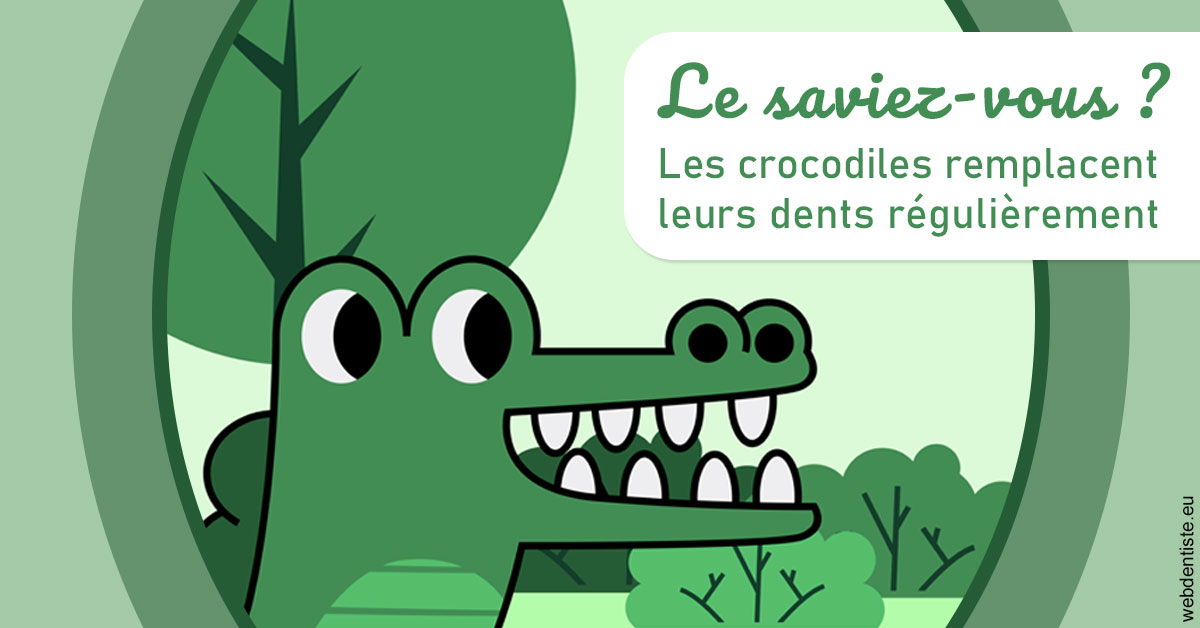 https://dr-corinne-schneider-pigeroulet.chirurgiens-dentistes.fr/Crocodiles 2