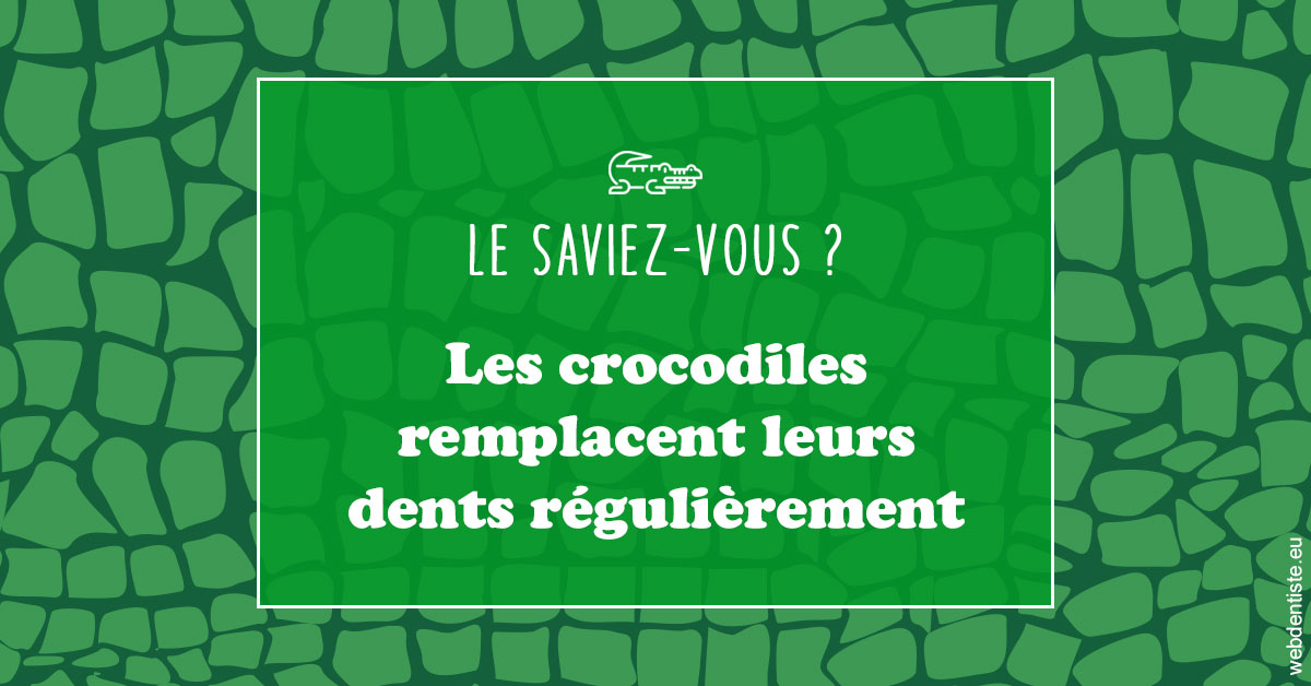 https://dr-corinne-schneider-pigeroulet.chirurgiens-dentistes.fr/Crocodiles 1