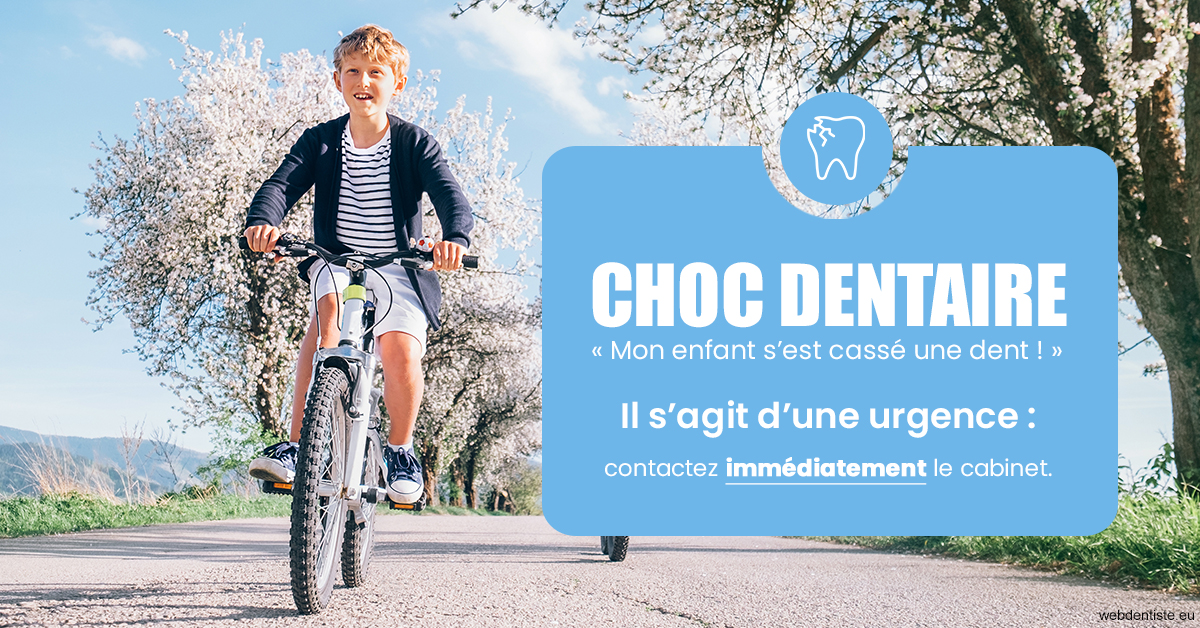https://dr-corinne-schneider-pigeroulet.chirurgiens-dentistes.fr/T2 2023 - Choc dentaire 1